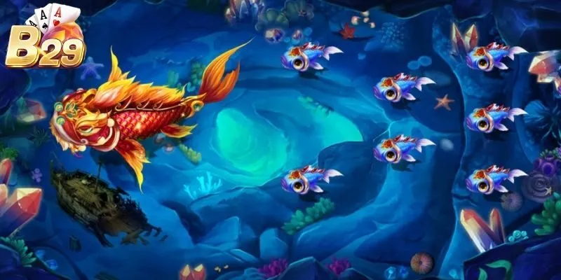 Chú ý đến đàn cá và kỹ năng dội tường